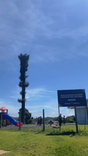 Projeto "Levando Literatura" ✨
Os alunos do 6º ano deram um show transformando livros em teatro!
“O Pequeno Príncipe” e “O Sítio do Picapau Amarelo” ganharam vida no palco e encantaram a Escola Municipal do Campo Professor Ariel José Pires, na Palmerinha. 🎭📚
Além disso, levamos carinho e doações de brinquedos às crianças.
Literatura que transforma! 💛