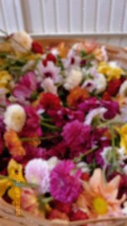 Mais do que homenagear, educamos para que cada menina seja valorizada e cada mulher seja respeitada!
Feliz dia das Mulheres! 🤍✨